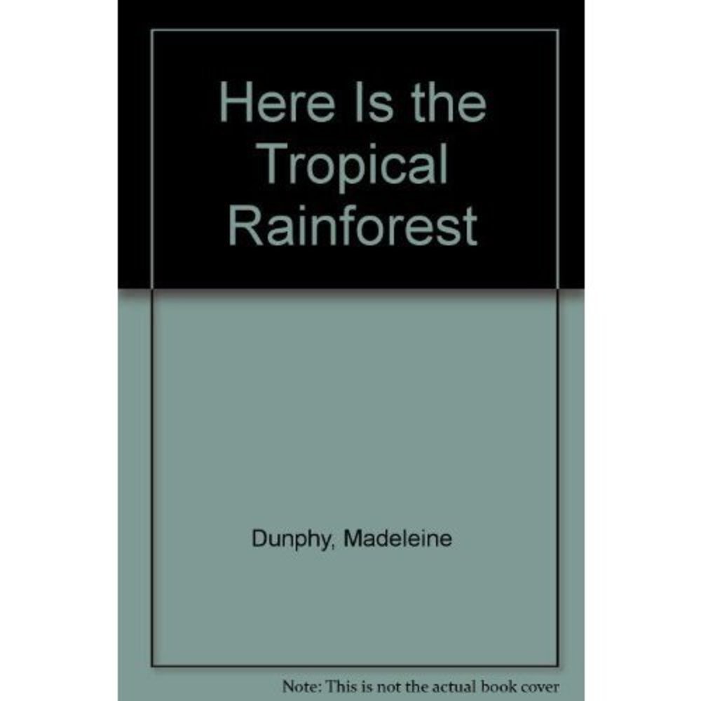 Here Is the Tropical Rainforest